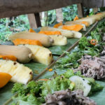 sifcare-ridge-to-river-earth-day-tanay-organic-lunch