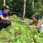 sifcare-ridge-to-river-earth-day-tanay-veggy-harvest1