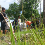 sifcare-cebu-beach-cleanup-4
