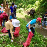 sifcare-cavite-river-cleanup-icc-2019-5